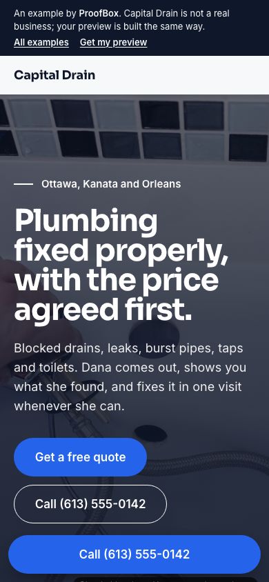 Capital Drain, an example website